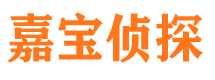 临港嘉宝私家侦探公司